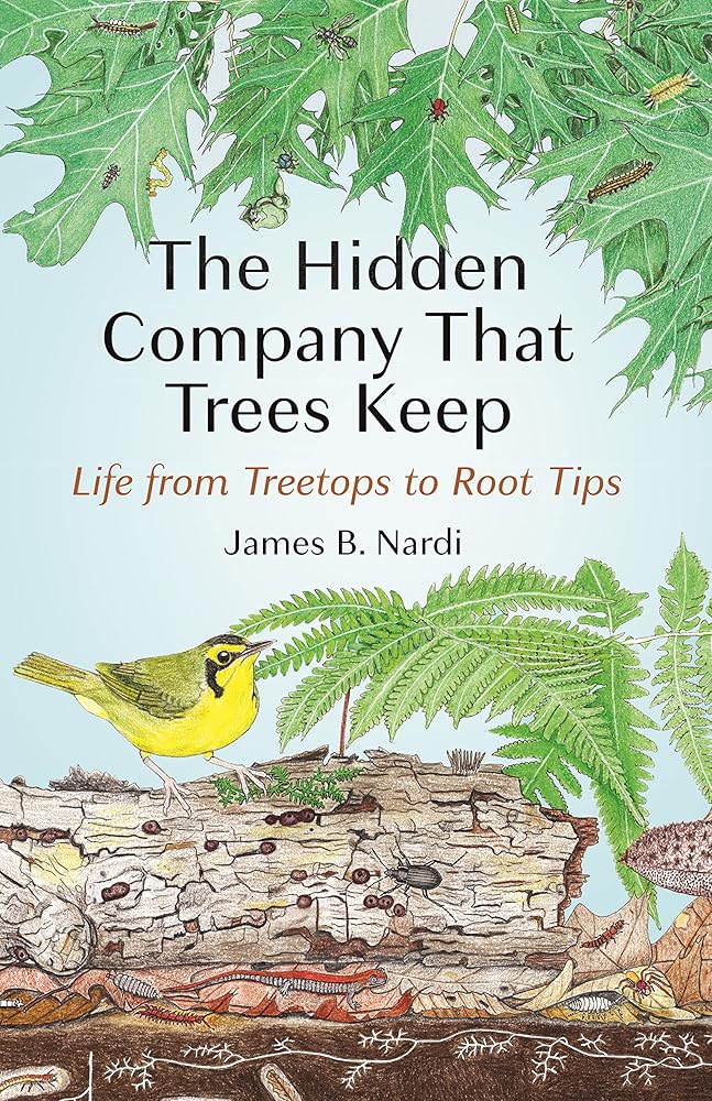 The Hidden Company That Trees Keep: Life from Treetops to Root Tips cover image