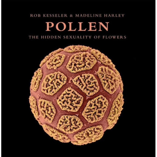 Pollen: The Hidden Sexuality of Flowers, by Rob Kesseler